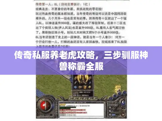 传奇私服养老虎攻略,三步驯服神兽称霸全服 传奇私服养老虎攻略,三步驯服神兽称霸全服