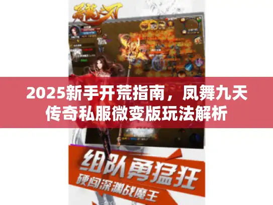 2025新手开荒指南，凤舞九天传奇私服微变版玩法解析