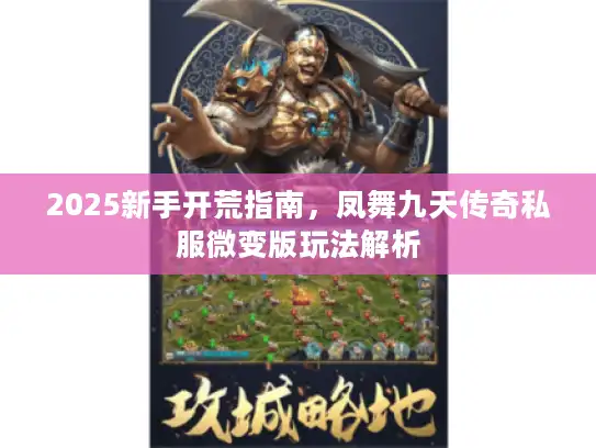 2025新手开荒指南，凤舞九天传奇私服微变版玩法解析