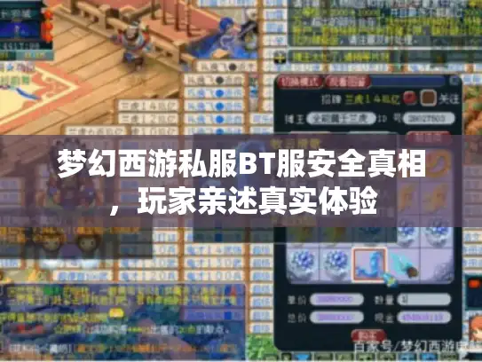 梦幻西游私服BT服安全真相，玩家亲述真实体验