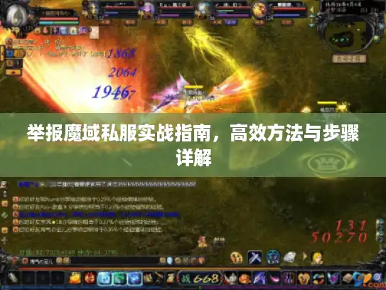 举报魔域私服实战指南，高效方法与步骤详解