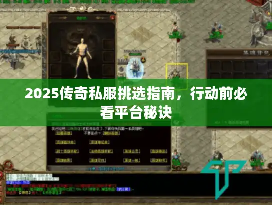 2025传奇私服挑选指南，行动前必看平台秘诀