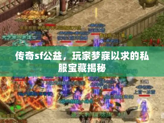 传奇sf公益，玩家梦寐以求的私服宝藏揭秘