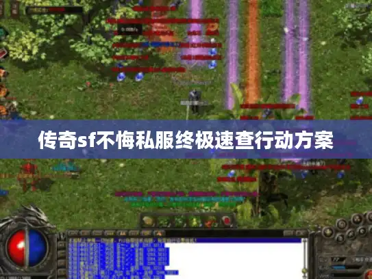 传奇sf不悔私服终极速查行动方案