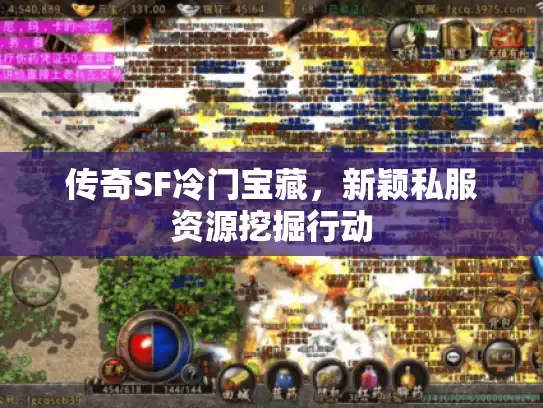 传奇SF冷门宝藏，新颖私服资源挖掘行动