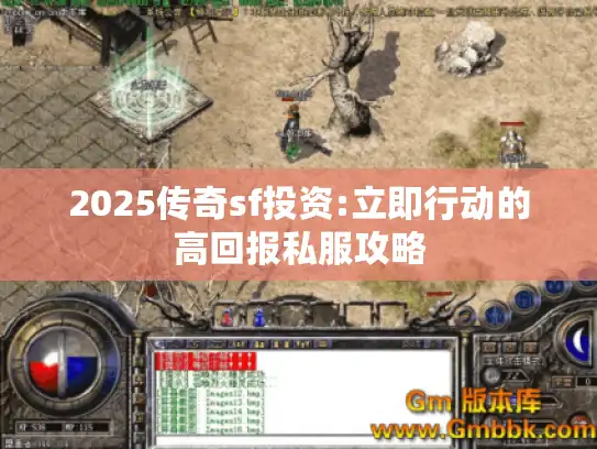 2025传奇sf投资:立即行动的高回报私服攻略