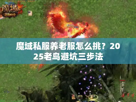 魔域私服养老服怎么挑？2025老鸟避坑三步法