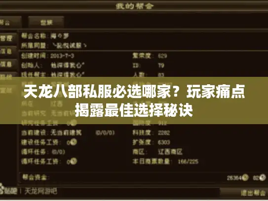 天龙八部私服必选哪家？玩家痛点揭露最佳选择秘诀