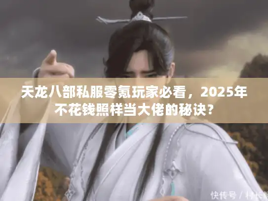 天龙八部私服零氪玩家必看，2025年不花钱照样当大佬的秘诀？