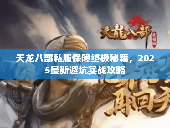 天龙八部私服保障终极秘籍，2025最新避坑实战攻略