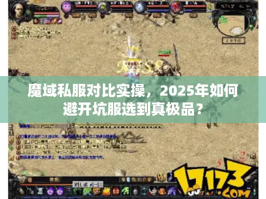 魔域私服对比实操，2025年如何避开坑服选到真极品？