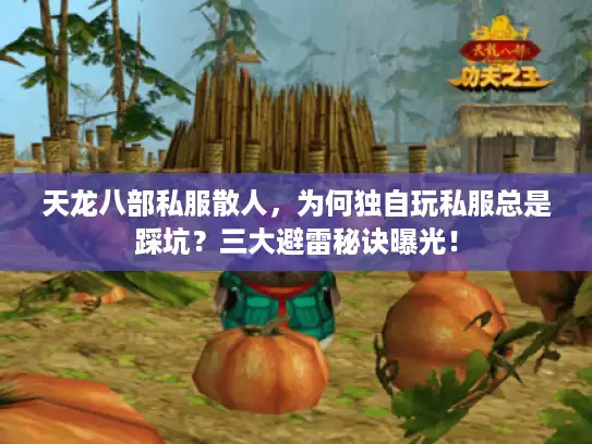 天龙八部私服散人，为何独自玩私服总是踩坑？三大避雷秘诀曝光！