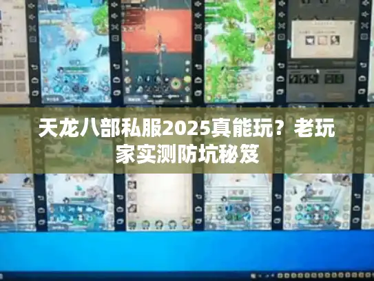 天龙八部私服2025真能玩？老玩家实测防坑秘笈
