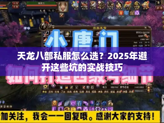 天龙八部私服怎么选？2025年避开这些坑的实战技巧