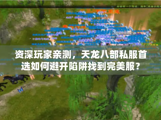 资深玩家亲测，天龙八部私服首选如何避开陷阱找到完美服？
