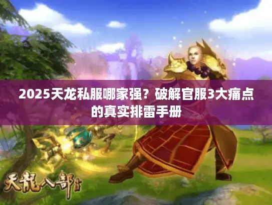 2025天龙私服哪家强？破解官服3大痛点的真实排雷手册