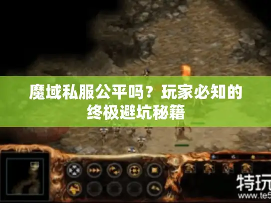 魔域私服公平吗?玩家必知的终极避坑秘籍 魔域私服公平吗?玩家必知的终极避坑秘籍