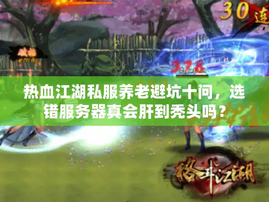 热血江湖私服养老避坑十问，选错服务器真会肝到秃头吗？