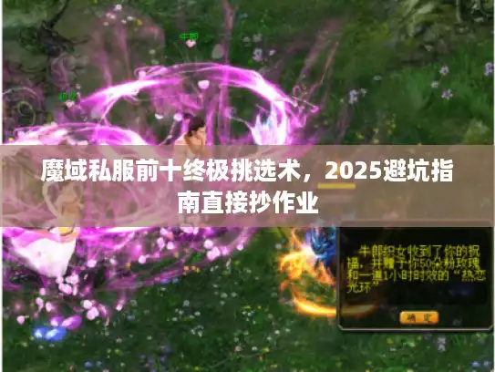 魔域私服前十终极挑选术，2025避坑指南直接抄作业