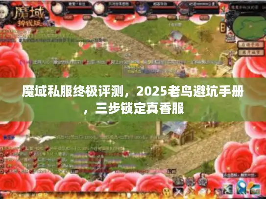 魔域私服终极评测，2025老鸟避坑手册，三步锁定真香服
