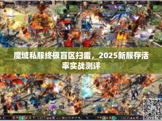 魔域私服终极盲区扫雷，2025新服存活率实战测评