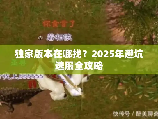 独家版本在哪找？2025年避坑选服全攻略