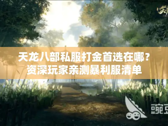 天龙八部私服打金首选在哪?资深玩家亲测暴利服清单 天龙八部私服打金首选在哪?资深玩家亲测暴利服清单