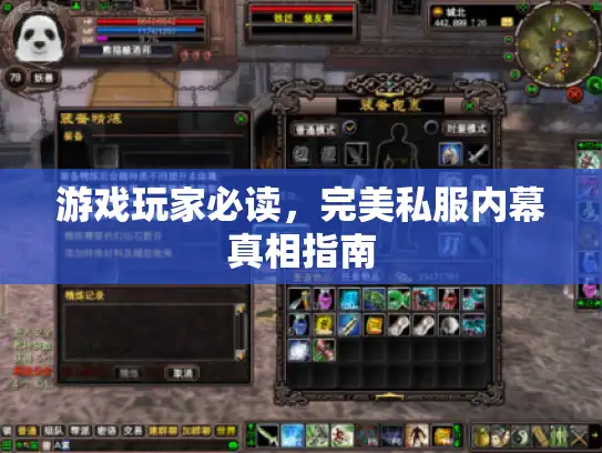 游戏玩家必读,完美私服内幕真相指南 游戏玩家必读,完美私服内幕真相指南