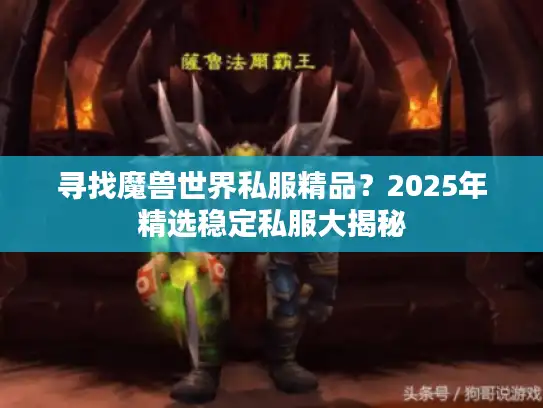 寻找魔兽世界私服精品？2025年精选稳定私服大揭秘