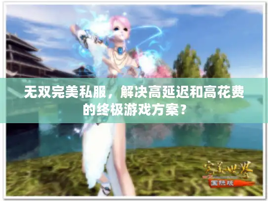 无双完美私服，解决高延迟和高花费的终极游戏方案？