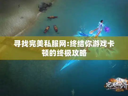 寻找完美私服网:终结你游戏卡顿的终极攻略