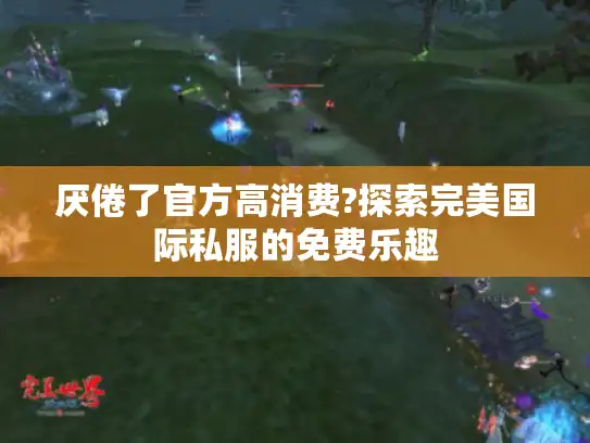 厌倦了官方高消费?探索完美国际私服的免费乐趣 厌倦了官方高消费?探索完美国际私服的免费乐趣