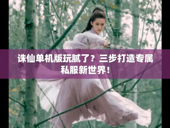 诛仙单机版玩腻了？三步打造专属私服新世界！