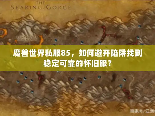 魔兽世界私服85，如何避开陷阱找到稳定可靠的怀旧服？