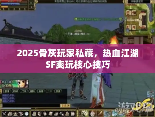 2025骨灰玩家私藏，热血江湖SF爽玩核心技巧