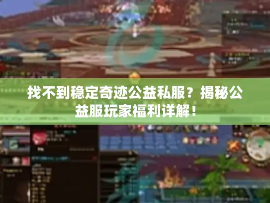 找不到稳定奇迹公益私服？揭秘公益服玩家福利详解！