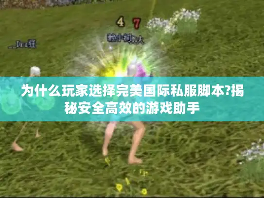 为什么玩家选择完美国际私服脚本?揭秘安全高效的游戏助手 为什么玩家选择完美国际私服脚本?揭秘安全高效的游戏助手