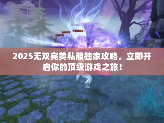 2025无双完美私服独家攻略,立即开启你的顶级游戏之旅! 2025无双完美私服独家攻略,立即开启你的顶级游戏之旅!