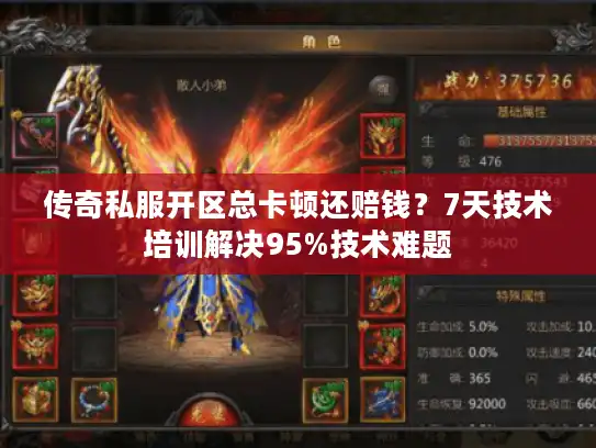 传奇私服开区总卡顿还赔钱？7天技术培训解决95%技术难题