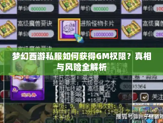 梦幻西游私服如何获得GM权限？真相与风险全解析