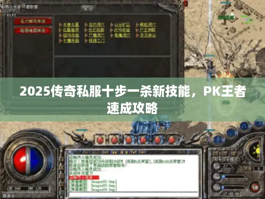 2025传奇私服十步一杀新技能，PK王者速成攻略
