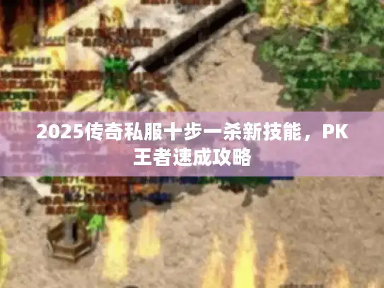 2025传奇私服十步一杀新技能，PK王者速成攻略