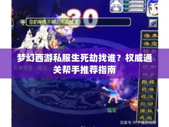 梦幻西游私服生死劫找谁？权威通关帮手推荐指南