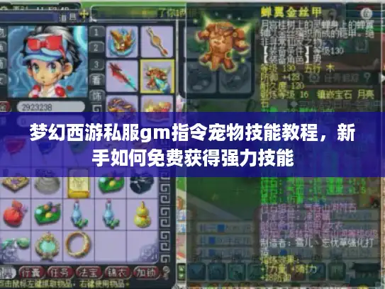 梦幻西游私服gm指令宠物技能教程,新手如何免费获得强力技能 梦幻西游私服gm指令宠物技能教程,新手如何免费获得强力技能