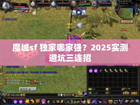 魔域sf 独家哪家强？2025实测避坑三连招