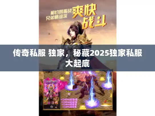传奇私服 独家，秘藏2025独家私服大起底