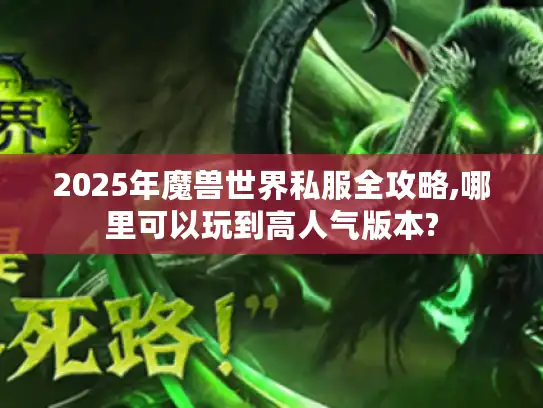 2025年魔兽世界私服全攻略,哪里可以玩到高人气版本?