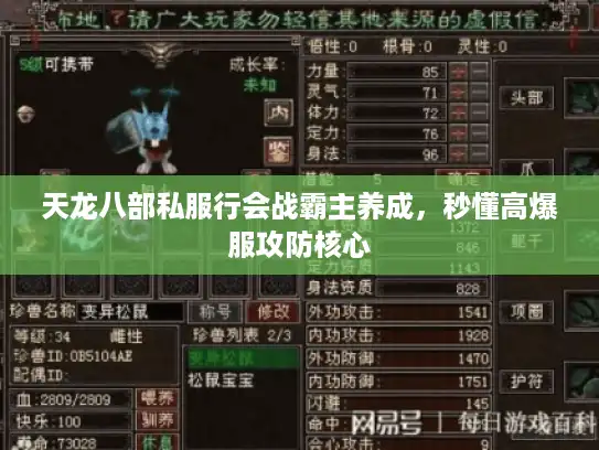 天龙八部私服行会战霸主养成，秒懂高爆服攻防核心