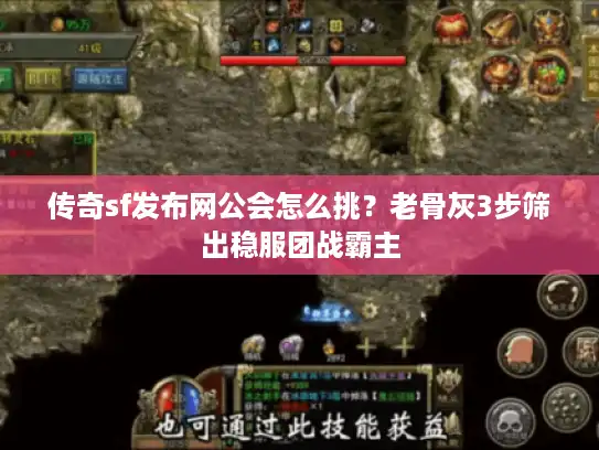 传奇sf发布网公会怎么挑？老骨灰3步筛出稳服团战霸主
