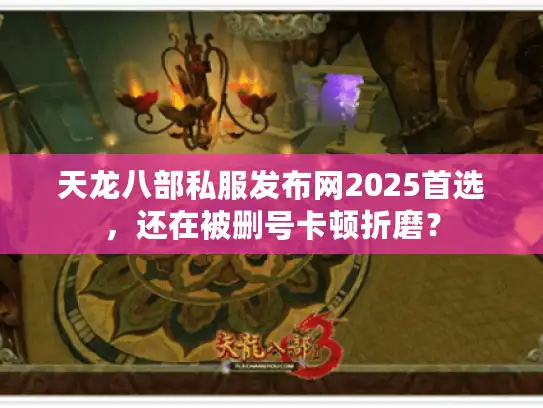天龙八部私服发布网2025首选，还在被删号卡顿折磨？